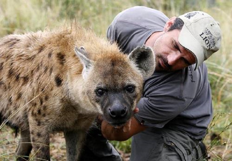 A man win a hyena
