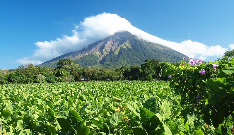 A volcano mountain 