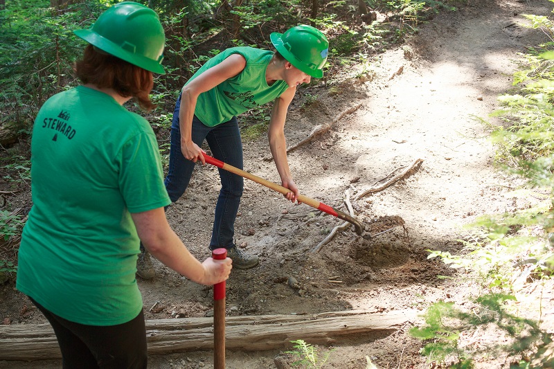 Volunteers repairing a forest trail