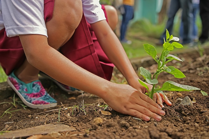 A girl planting a tree